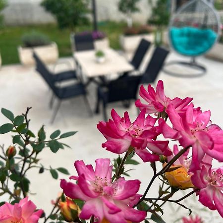 Sunny Hill - Parking - Fenced Garden - Luxury Loft Daire Kotor Dış mekan fotoğraf