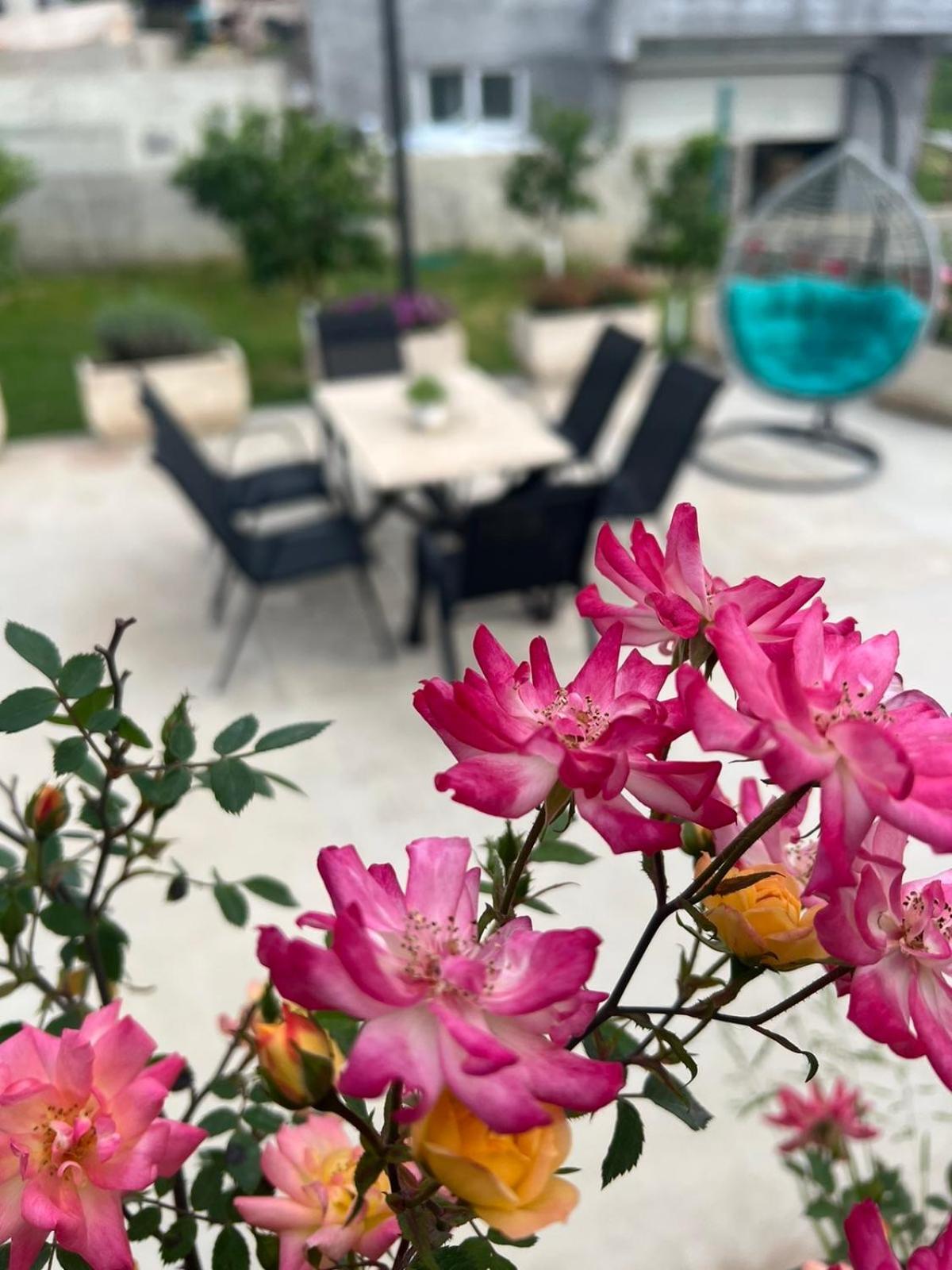 Sunny Hill - Parking - Fenced Garden - Luxury Loft Daire Kotor Dış mekan fotoğraf